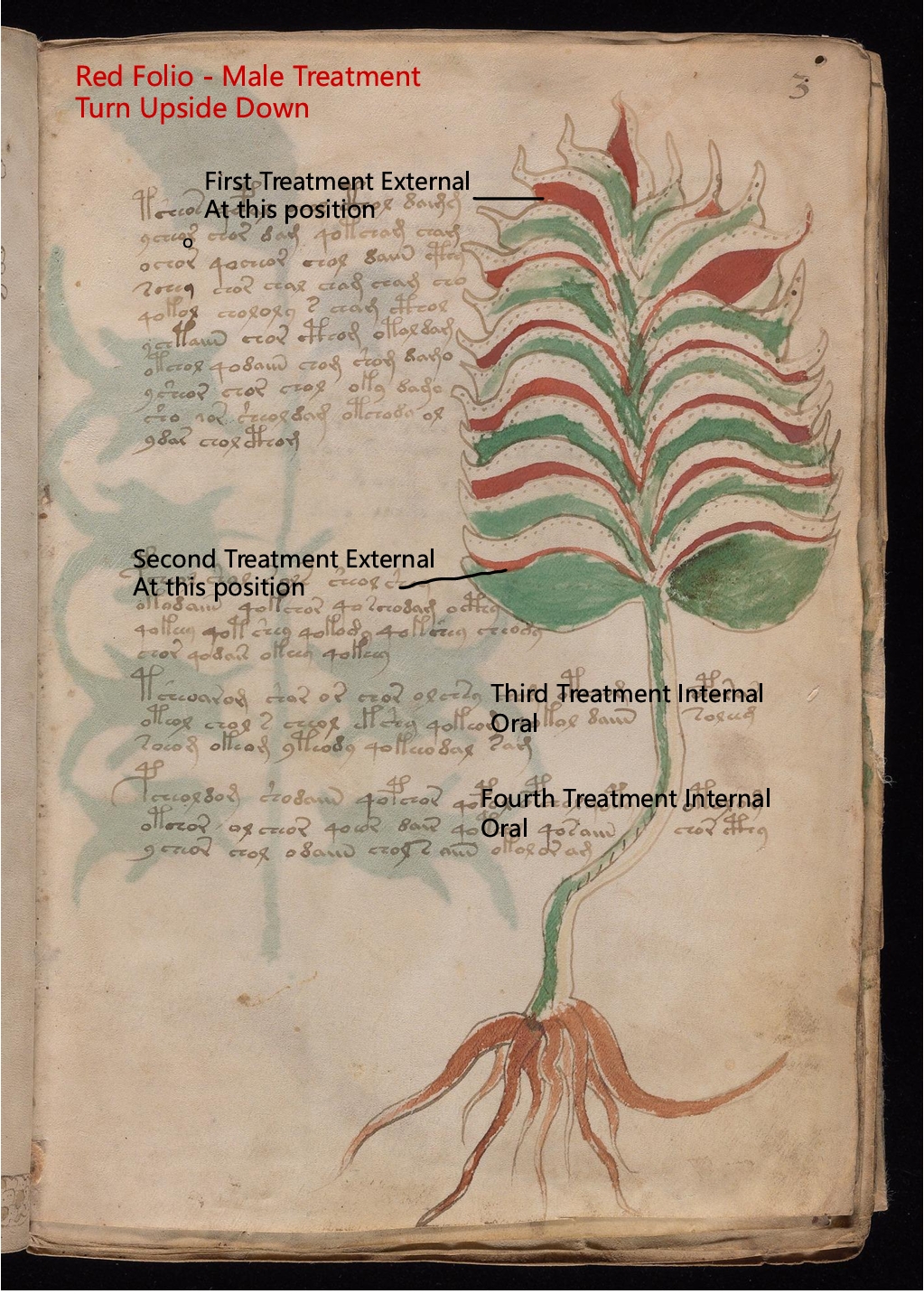 Secondary labelled diagram of Folio 3r